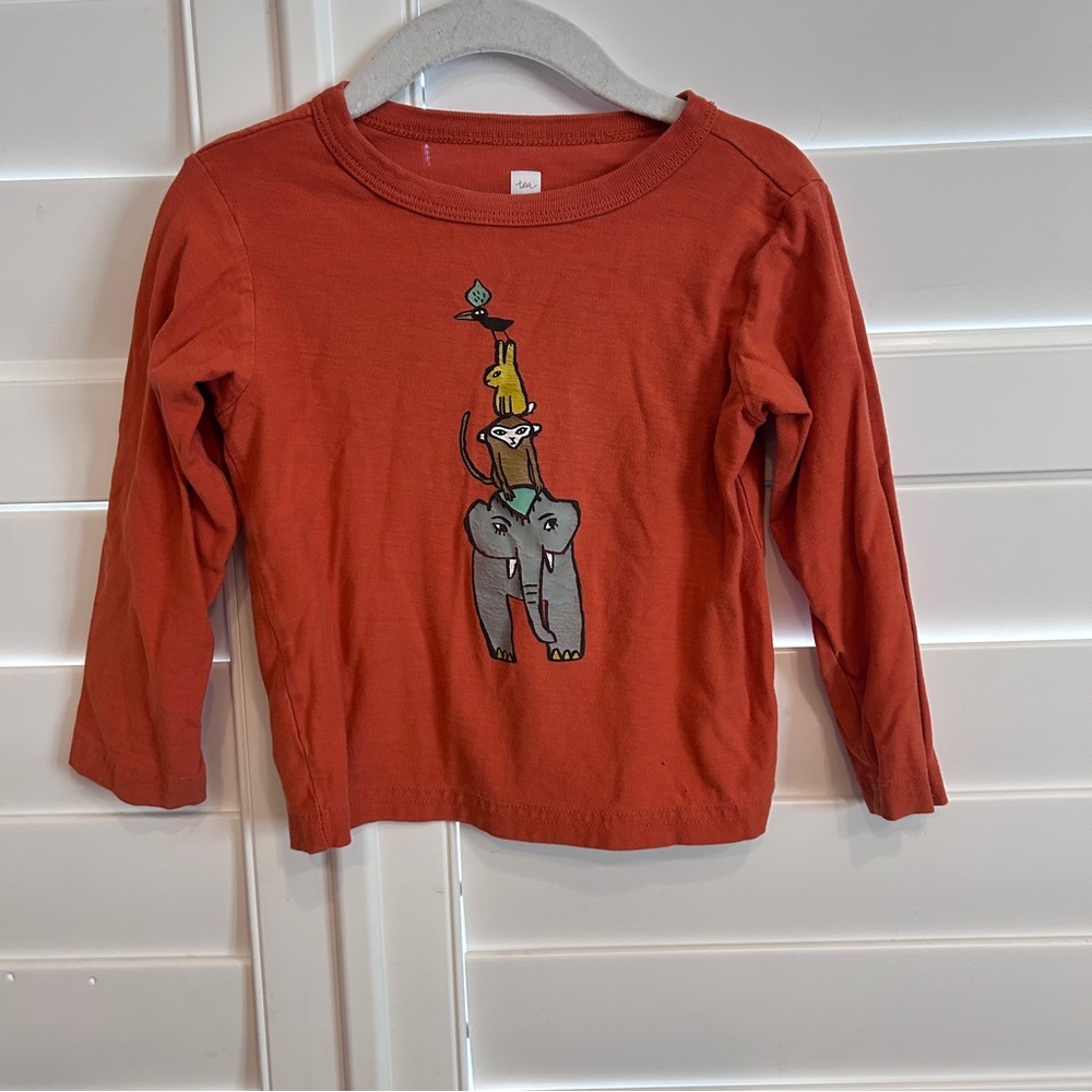 Tea Collection Animal Pyramid Print Long Sleeved Tee Shirt 18-24 months